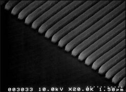 (SEM Pictures)  The surface of the  Ni  Precision Stamp